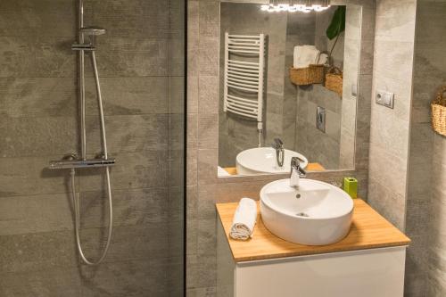 Studio Apartment - Pest side, Downtown, Budapešť (fotografie 6)