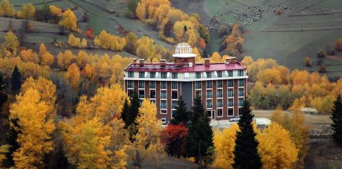 Black Forest Hotel - image 10