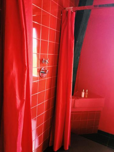 Ducha, Maison Stella Cadente, Maison d'hotes Artistique et Jardin a Provins in Provins