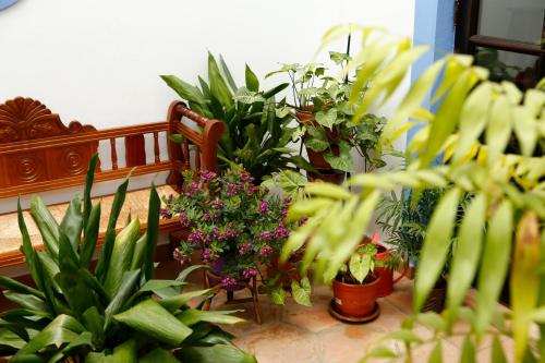 La Casa del Rio