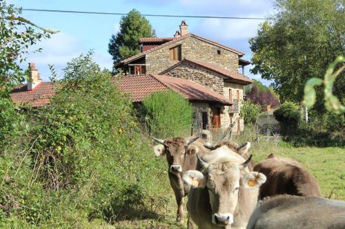 La Forqueta y El Fontanal