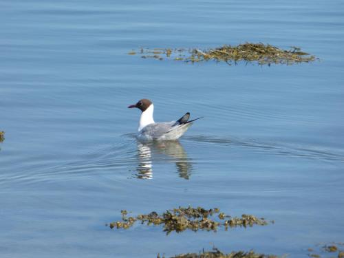Le Jardin Fleuri Le Jardin Fleuri