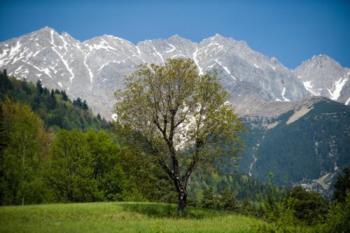 Kasperhof Appartements Innsbruck Top 1 - 5 - image 11