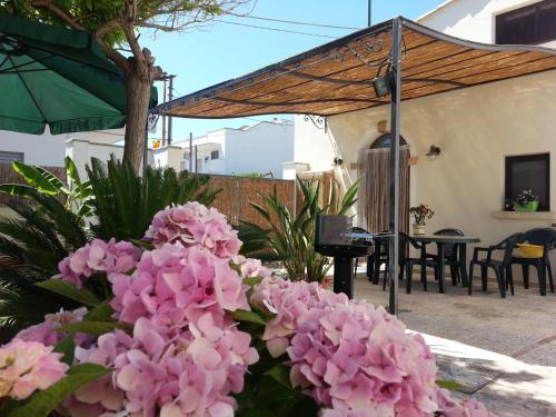 La Capanna della Nonna gîte à louer Sant'Eufemia