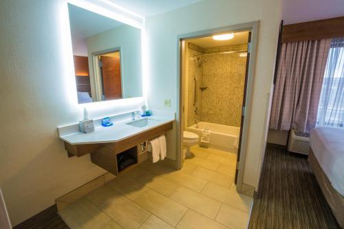 Holiday Inn Express Hotel & Suites Pasco-TriCities an IHG Hotel - image 5