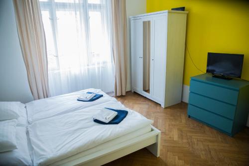 Budget Apartment, Prague (photo 10)