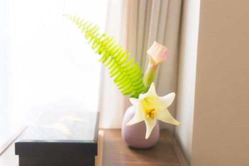 K&K Apartment Kita-Akabane #301 K&K Apartment Kita-Akabane #301