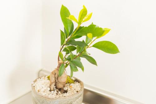 K&K Apartment Kita-Akabane #301 K&K Apartment Kita-Akabane #301