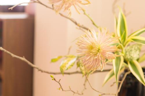 K&K Apartment Kita-Akabane #301 K&K Apartment Kita-Akabane #301