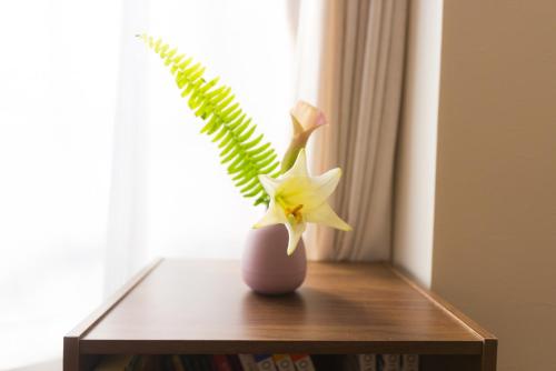 K&K Apartment Kita-Akabane #301 K&K Apartment Kita-Akabane #301