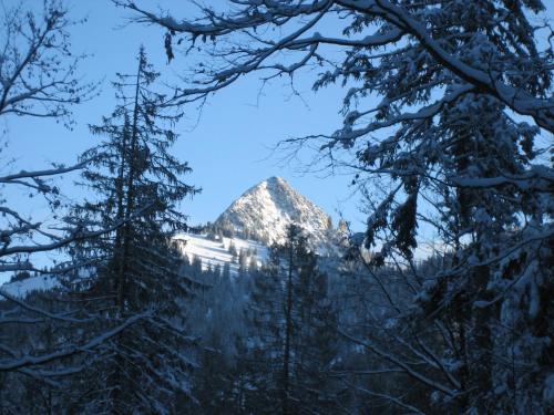 สภาพแวดล้อมโดยรอบ, Gastehaus Proisl in เลงกริส