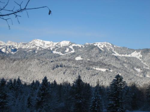 สภาพแวดล้อมโดยรอบ, Gastehaus Proisl in เลงกริส