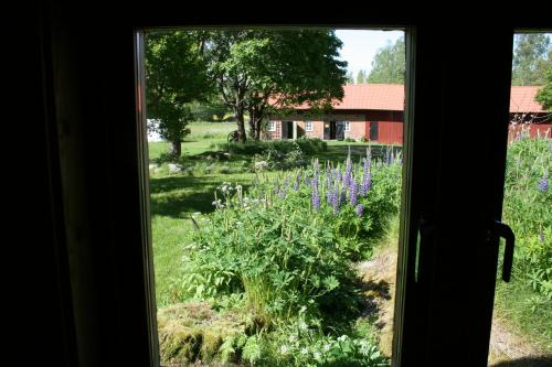 Ahornfarm Hakannas in Nybble