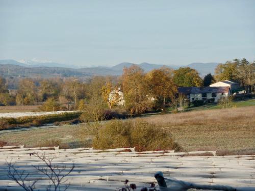 Les deux Flamands et Filous chambre d'hôte Saint-Gaudéric