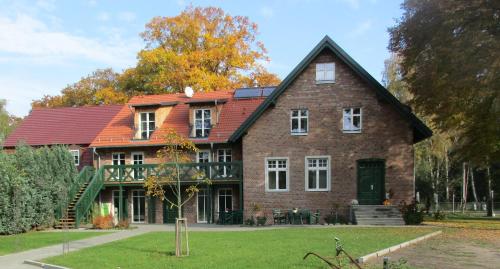 Grüner Wald in Burg, Deutschland