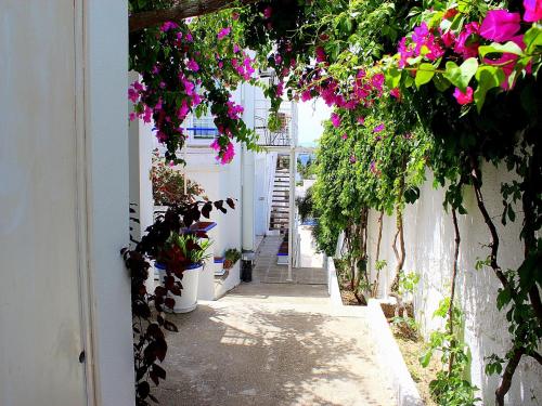 Bodrum Nova Suites Hotel All Inclusive In Gumbet Turkey 100 Reviews Price From 14 Planet Of Hotels