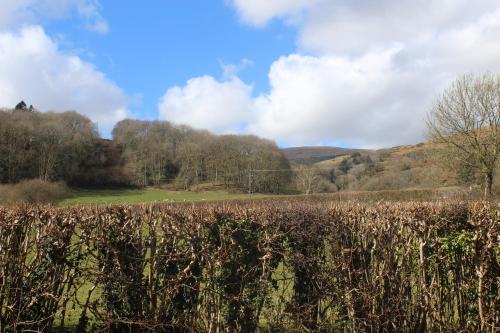 Capel- Y-Bryniau - image 2