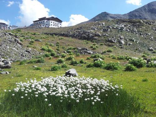 Hotel Folgore - Passo Stelvio / Prad am Stilfserjoch