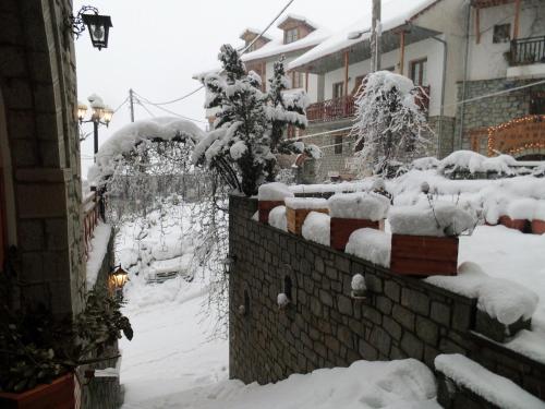 Asteri Metsovou, Metsovo (zdjęcie 6)