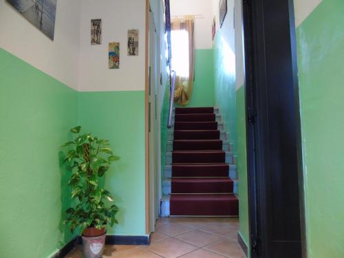 Hotel Rainbow - image 11