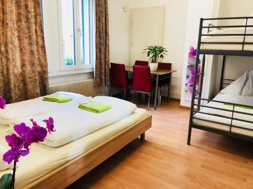 Interlaken Linda Inn Lodge - image 3