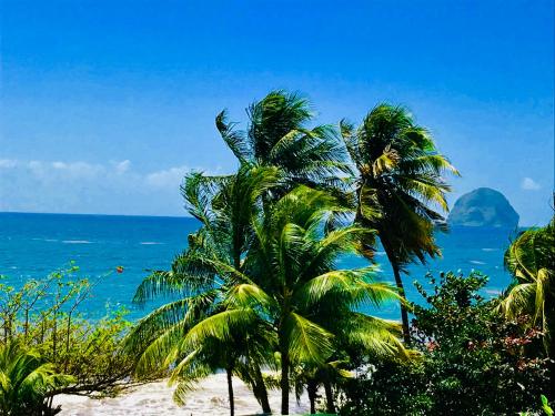 Studio Privilege with Sea View image 5