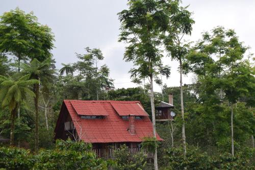 Cabañas los Cedros in Cuetzalán del Progreso, Mexico