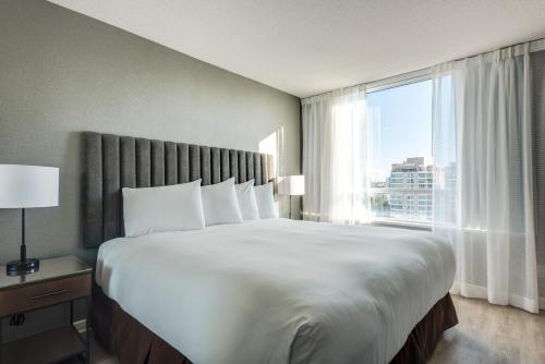 Carmana Hotel & Suites - image 2