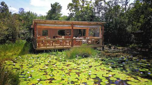 Forest Edge Forest Edge