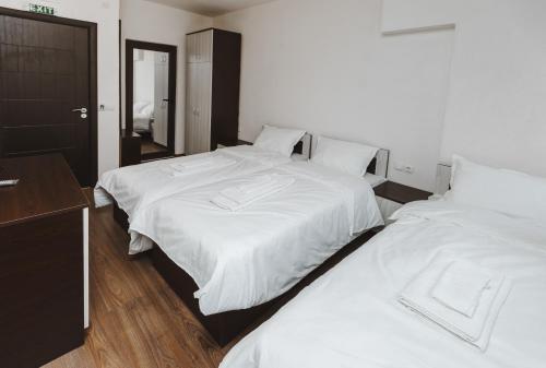 Zlatograd 2 Iosifova Guest House - image 7