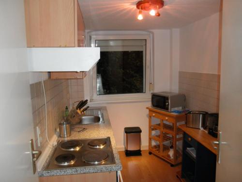 Apartment-Ferienwohnung Dresden-Briesnitz - image 10