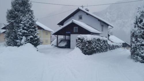 Ferienwohnung Haus Cerny - Apartment - Bad Goisern