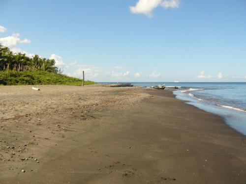 Tamarind Tree Hotel Tamarind Tree Hotel
