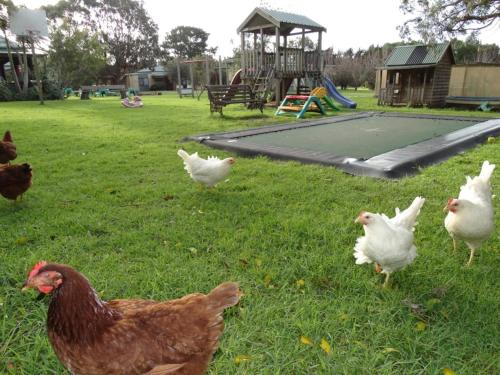 Ripples n Tonic Farmstay