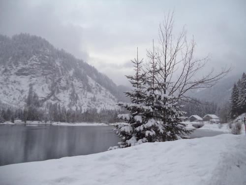 Garconniere Pachler in Gosau városközpont