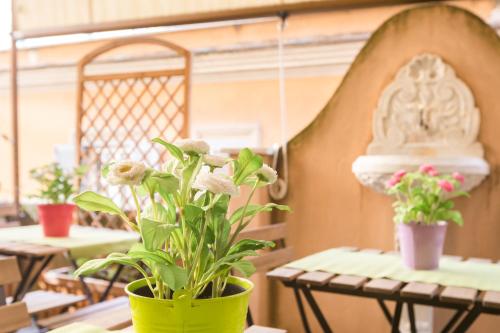 Calamatta B&B