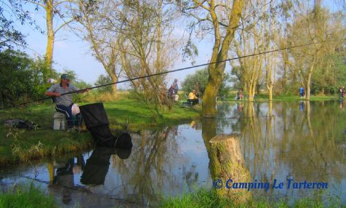 Camping Le Tarteron - image 4