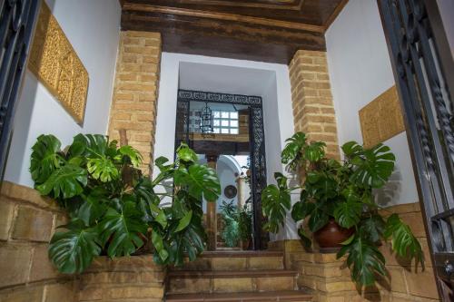 Casa Turística Patio Cordobés - Parking en la Judería
