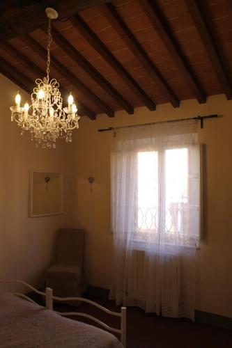 Il Cuore Lucca Srl
