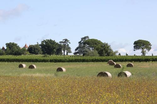 Chemin de Gargamelle Gite 'Mirabelle'