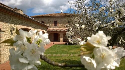  B&B Borgo del Contadino, Pension in Arezzo