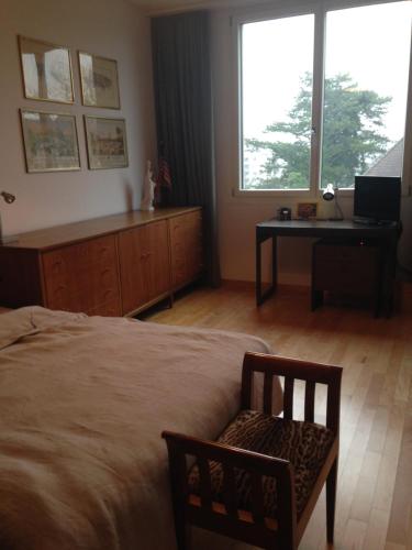 AVLiving City FLAT Basel with Roof Garden - image 13