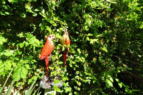 Guest House Korsika - image 5