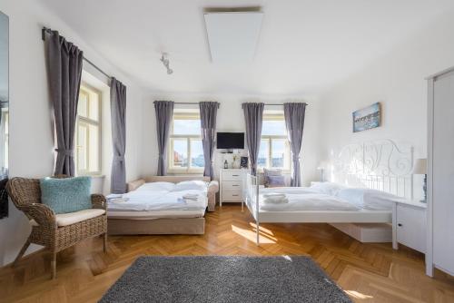 Charles Apartment, Praha (fotografie 9)