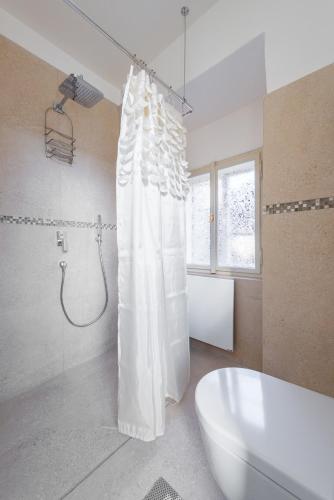 Charles Apartment, Praha (fotografie 7)