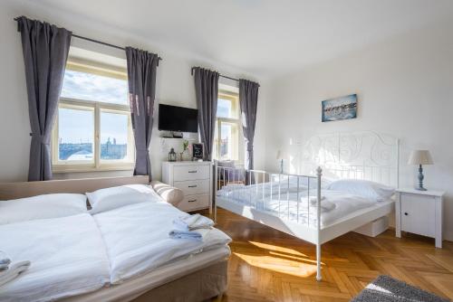Charles Apartment, Praha (fotografie 5)