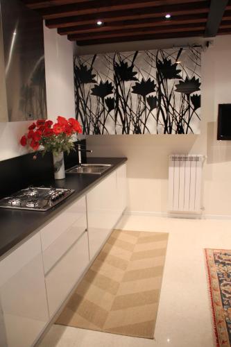 Sarai Apartments, Benátky (fotografie 5)