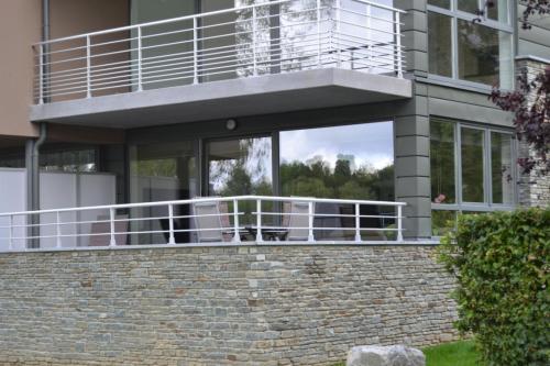 la terrasse du lac