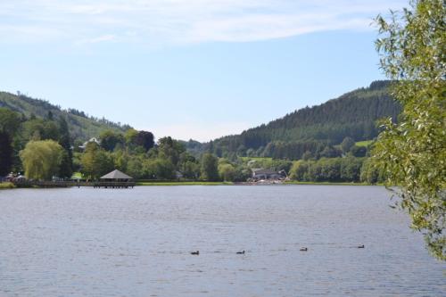 la terrasse du lac