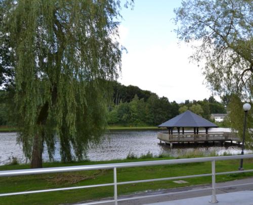 la terrasse du lac